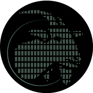 Coin2